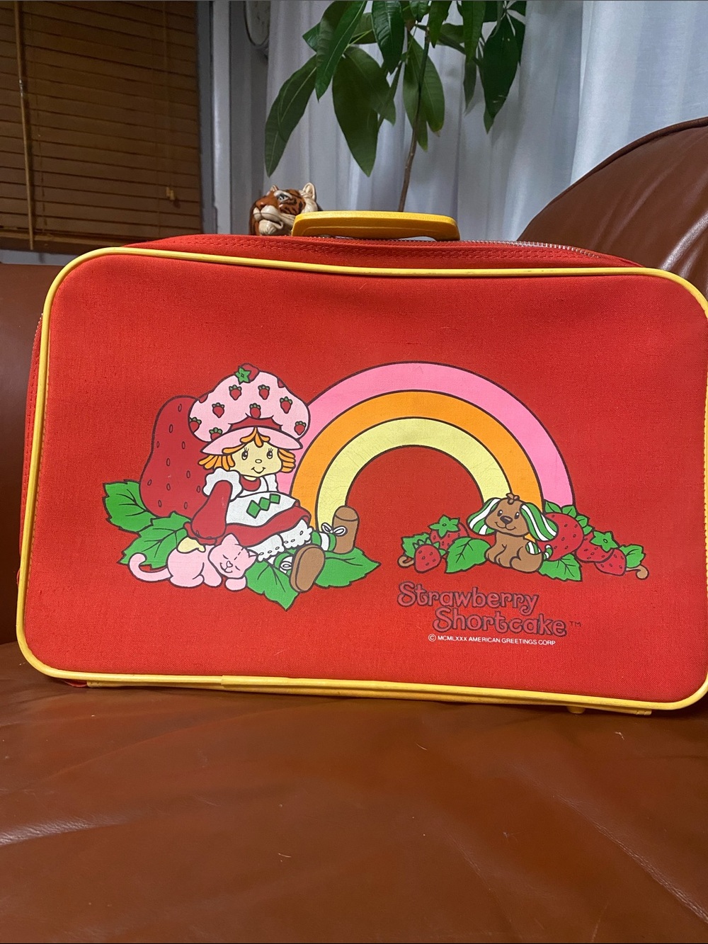 VINTAGE STRAWBERRY SHORTCAKE SUITCASE 80’s